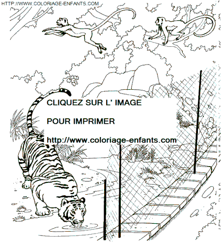 coloring pages zoo animals. zoo animal coloring pages