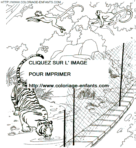zoo animal coloring pages coloring pages zoo animals. zoo animal coloring pages