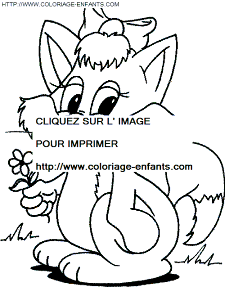 Cats coloring