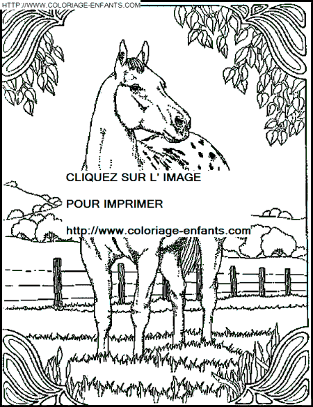 horse pictures to color and print. to print and color so you