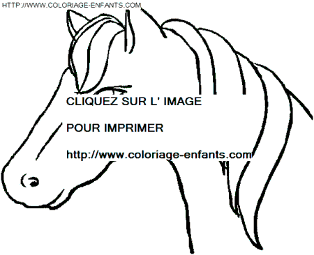 Horse coloring
