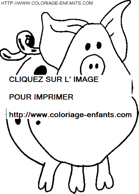 Pigs coloring
