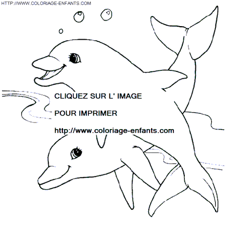 Dolphins coloring