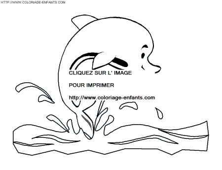 Dolphins coloring