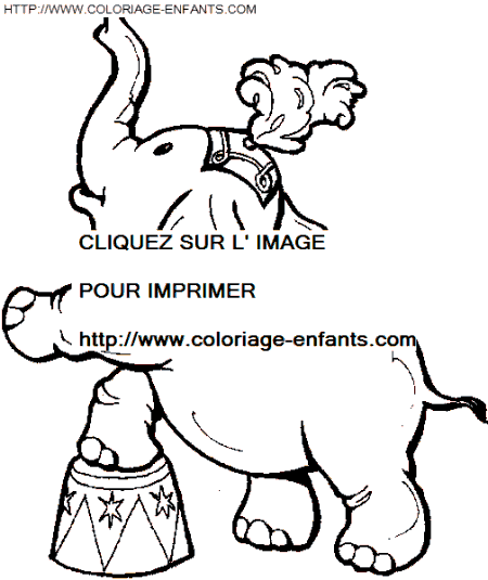 Dumbo coloring
