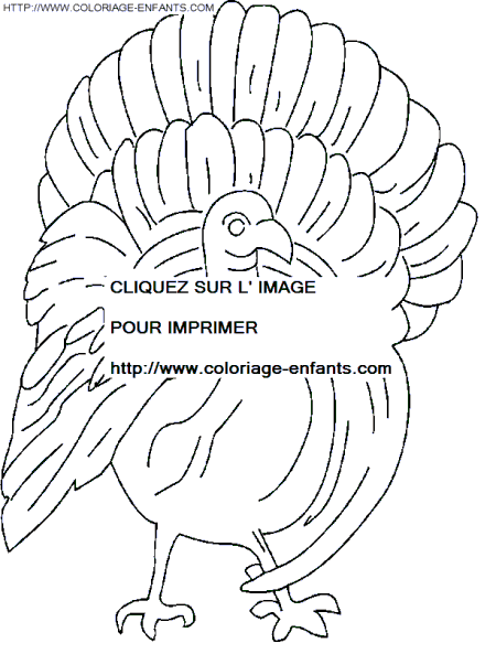 Thanksgiving coloring