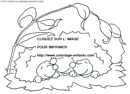 Porcupines coloring