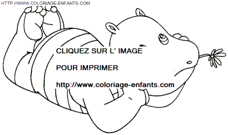 Little Hippo coloring