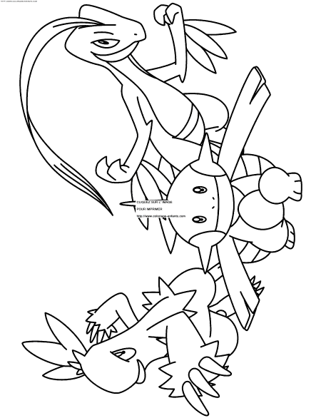 Pokemon coloring