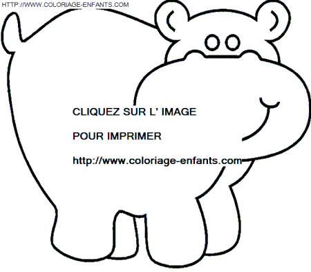 Hippopotamus coloring