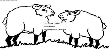 Sheep coloring - Sheep coloring pages to color - Sheep coloring book