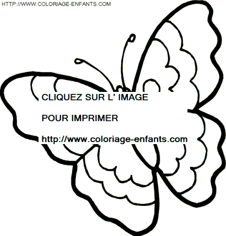 Butterflies coloring