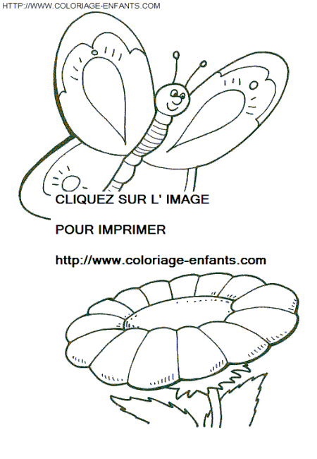 Butterflies coloring
