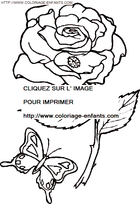 Coloring Pages Of Butterflies For Kids. utterflies coloring book