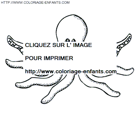 octopus coloring book pages Coloring Pictures Of Octopus. octopus coloring book pages