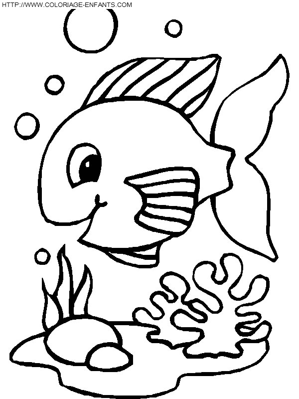 Fish coloring