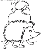 porcupines coloring