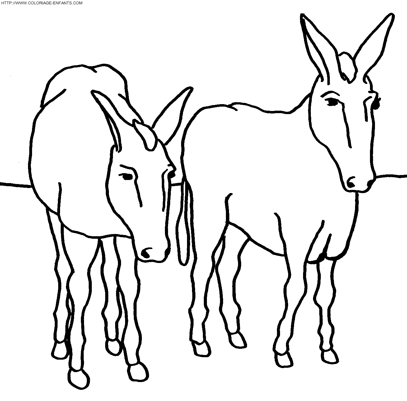 Donkeys coloring