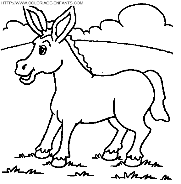 Donkeys coloring