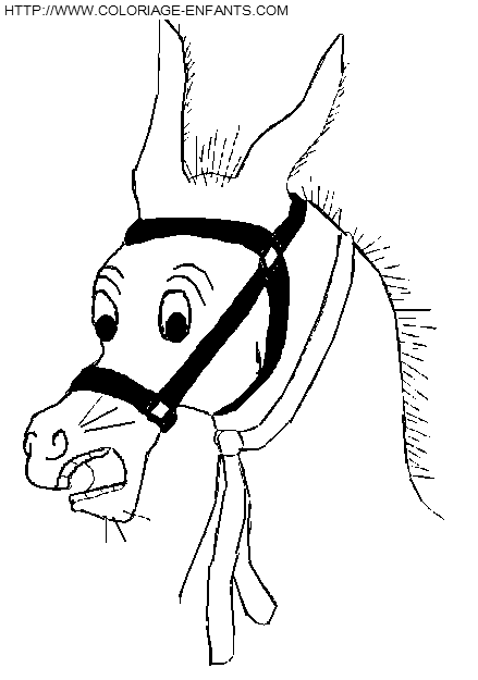 Donkeys coloring