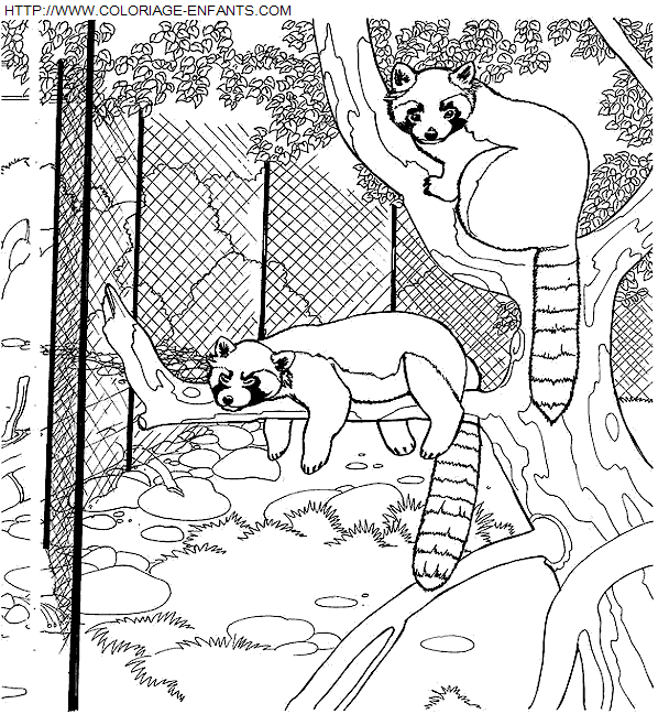 Zoo coloring