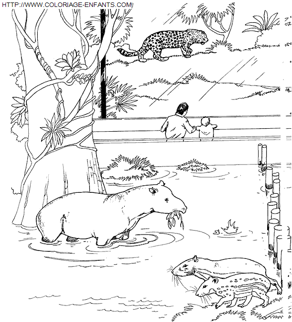 Zoo coloring