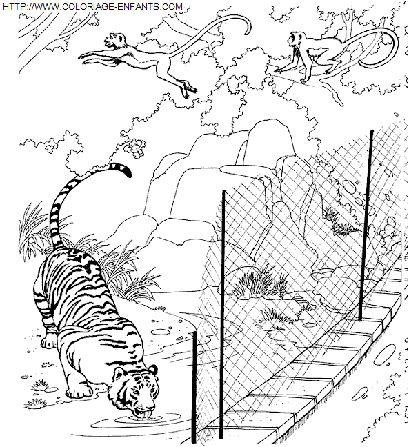 Zoo coloring