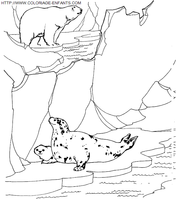 Zoo coloring