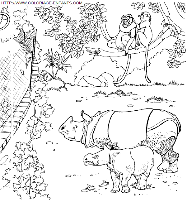 Zoo coloring