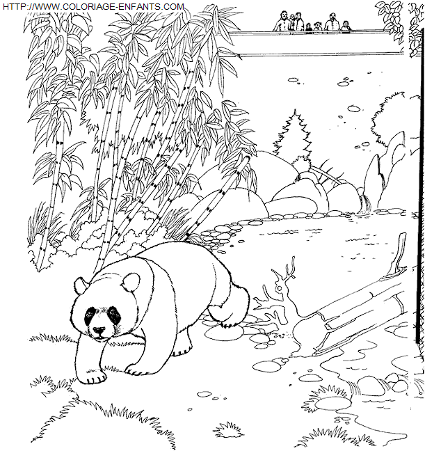 Zoo coloring