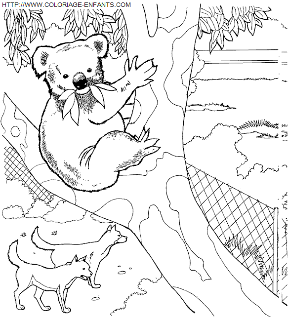 Zoo coloring