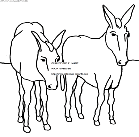 Donkeys coloring