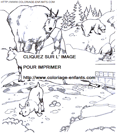 zoo coloring  zoo coloring pages to color  zoo coloring