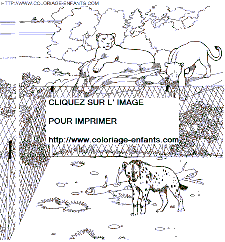 zoo coloring  zoo coloring pages to color  zoo coloring
