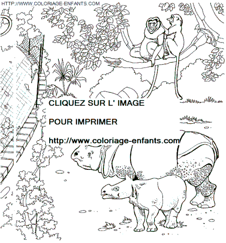 Zoo coloring