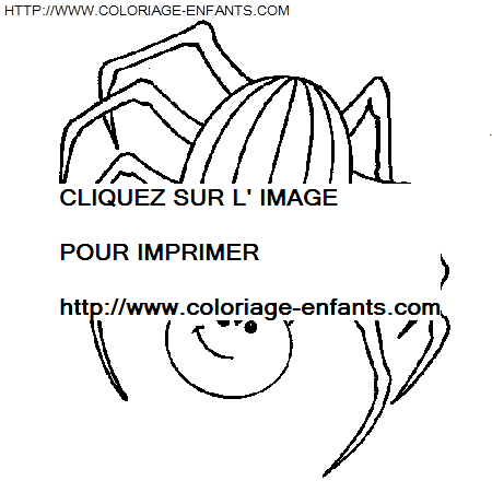 Spiders coloring