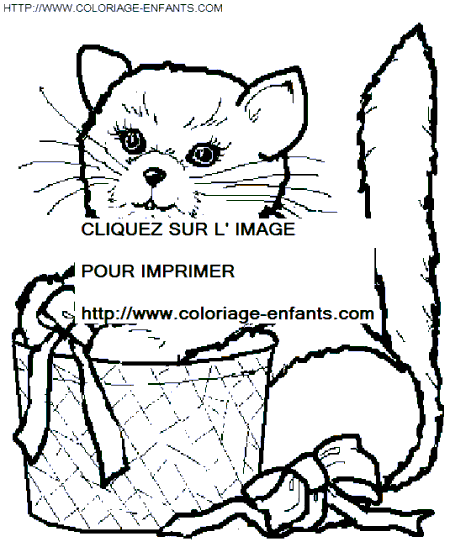 Cats coloring - Cats coloring pages to color - Cats coloring book pages