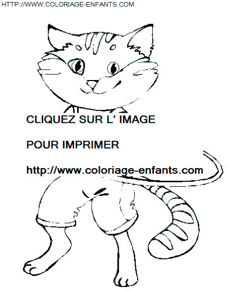 Cats coloring