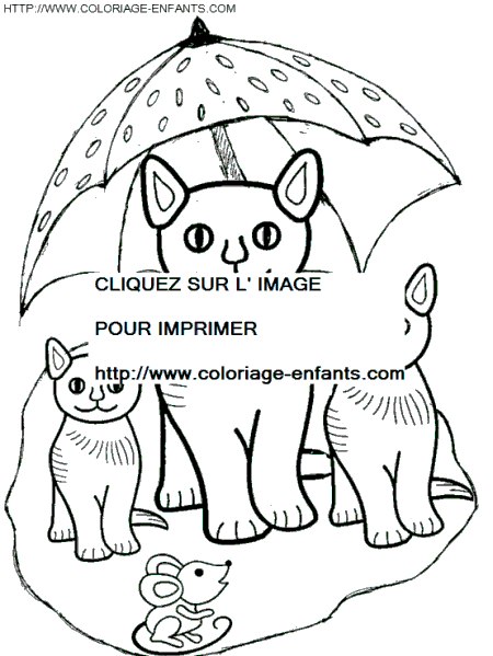 Cats coloring