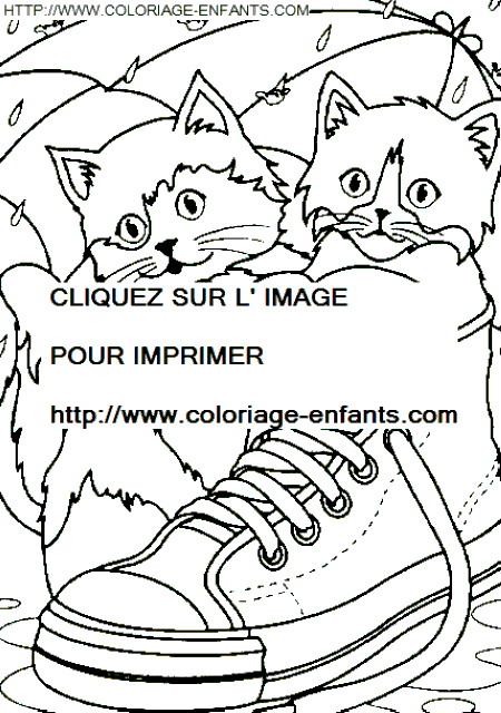 Cats coloring