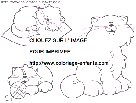 Cats coloring