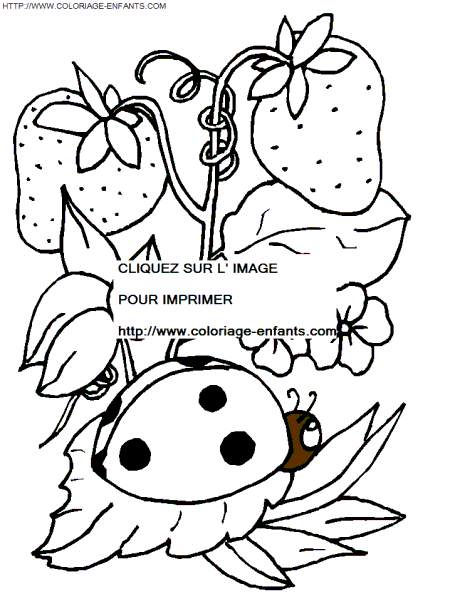 Lady Bugs coloring