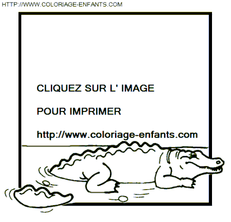 Crocodiles coloring - Crocodiles coloring pages to color - Crocodiles
