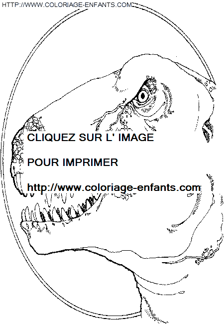 Dinosaur coloring
