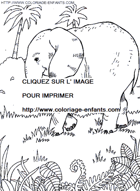 Elephants coloring