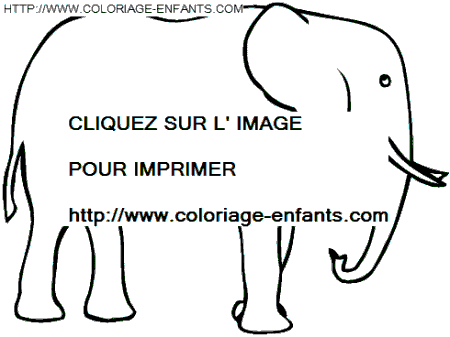 Elephants coloring