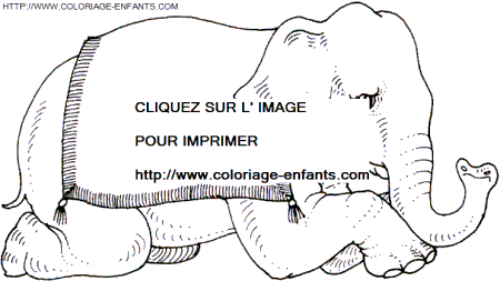 Elephants coloring