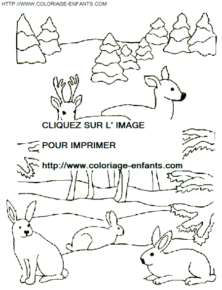 Christmas Animals coloring