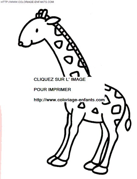 Giraffes coloring