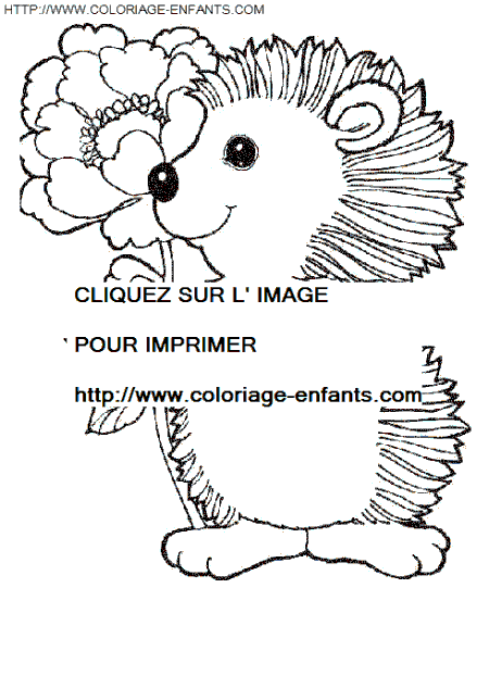 Porcupines coloring